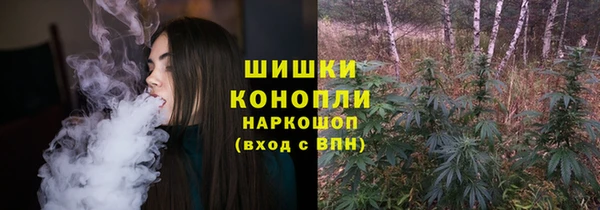 тгк Осинники