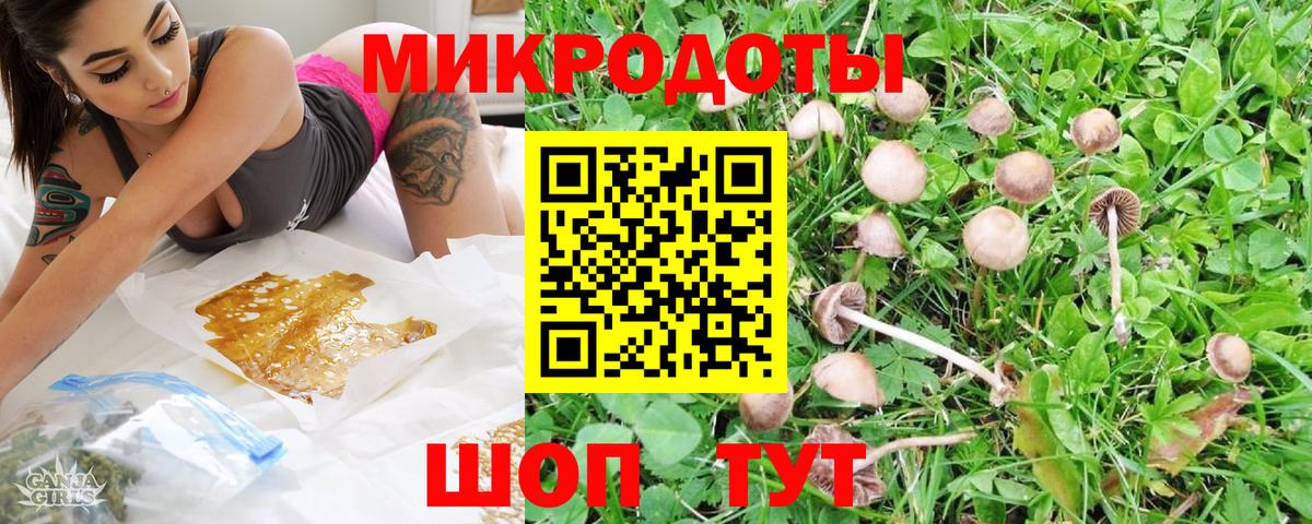 Галлюциногенные грибы MAGIC MUSHROOMS Чусовой