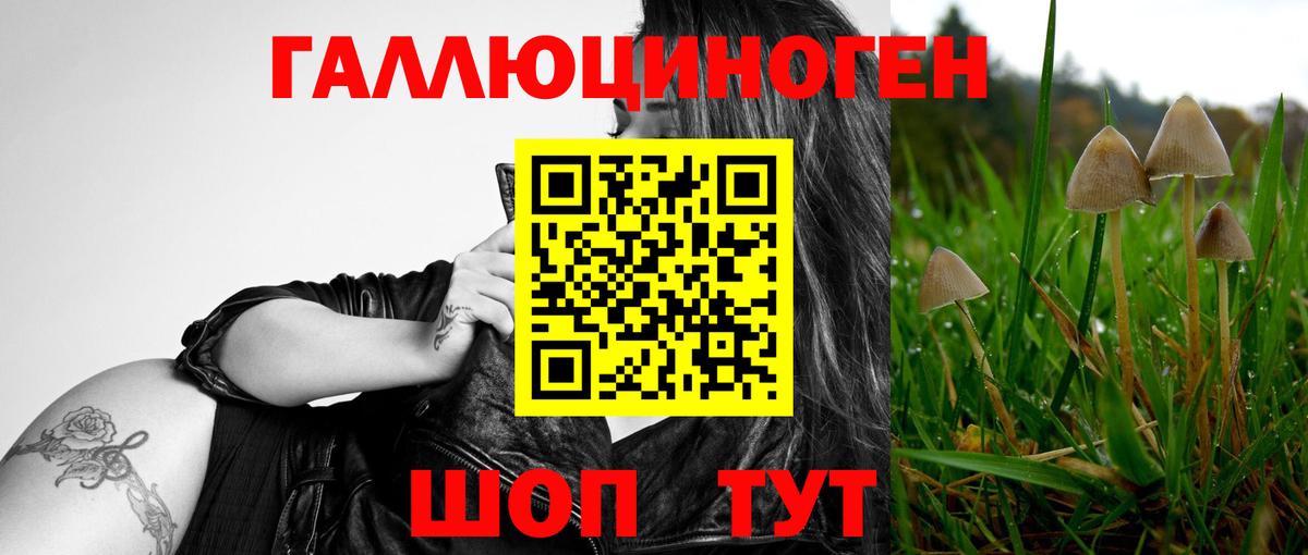 Галлюциногенные грибы Cubensis  Галлюциногенные грибы MAGIC MUSHROOMS  Чусовой 