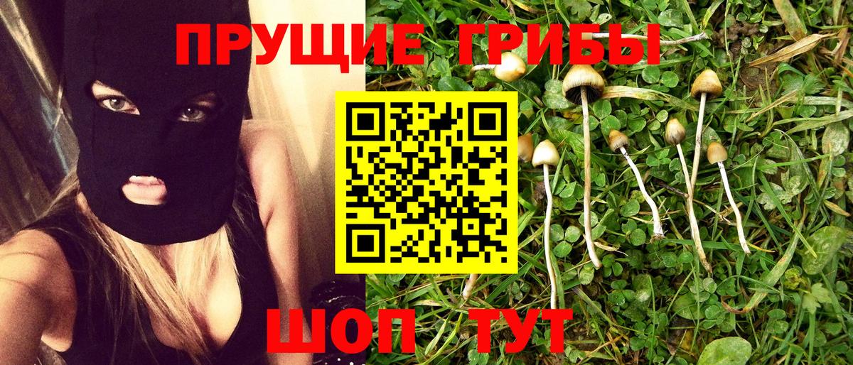 Псилоцибиновые грибы GOLDEN TEACHER  Вход с VPN  Чусовой 